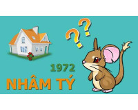 Tuổi năm 1972 hợp hướng nào? (Phong thủy tuổi Nhâm Tý)