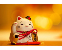 1987 mang mệnh gì? hợp màu gì? tử vi trọn đời nam và nữ mạng