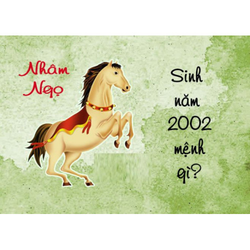 Sinh năm 2002 mệnh gì, cung gì? Tử vi tuổi Nhâm Ngọ năm 2024