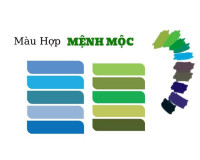 Mệnh mộc hợp màu gì, kỵ với màu gì, sinh năm bao nhiêu?