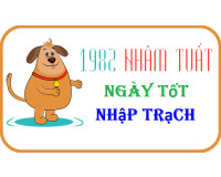 Xem ngày nhập trạch tuổi Nhâm Tuất 1982 năm 2024