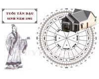 Xem ngày nhập trạch tuổi Tân Dậu (1981) năm 2024