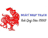 Hướng dẫn xem ngày nhập trạch tuổi Quý Dậu (1993) năm 2024