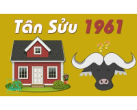Sinh năm 1961 hợp hướng nào tốt nhất? (Hướng nhà tuổi Tân Sửu)