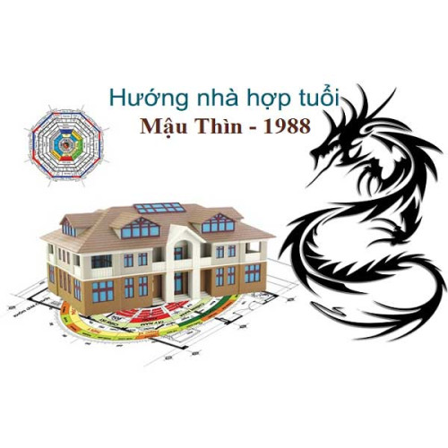 Sinh năm 1988 hợp hướng nào? Xem hướng nhà tuổi Mậu Thìn