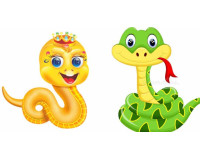 Sinh năm 1989 hợp hướng nào? (Hướng nhà tuổi Kỷ Tỵ)