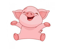 Đinh Hợi sinh năm 2007 mệnh gì, tuổi con gì, hợp với tuổi nào