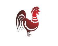 Người sinh năm 1957 thuộc mệnh gì? cung gì? kỵ tuổi nào?