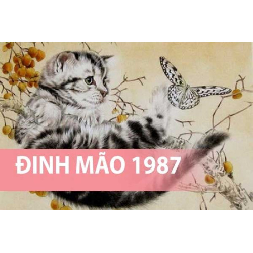 Sinh năm 1987 hợp hướng nào? Hướng nhà tuổi Đinh Mão