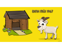 Sinh năm 1967 hợp hướng nào ? Xem hướng nhà tuổi Đinh Mùi