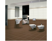 Tìm hiểu về mẫu gạch ốp nhà vệ sinh 30x60 Viglacera