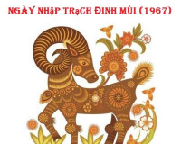 Xem ngày nhập trạch tuổi Đinh Mùi gia chủ sinh năm 1967