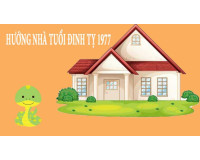 Tuổi năm 1977 hợp hướng nào? (Xem hướng nhà tuổi Đinh Tỵ)