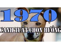 Tuổi Canh Tuất sinh năm 1970 hợp hướng nào mang Bình An - Tài Lộc