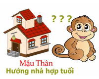 Tuổi Mậu Thân sinh năm 1968 hợp hướng nào, kỵ hướng nào ?