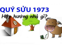 Tuổi sinh năm 1973 hợp hướng nào? Hướng nhà tuổi Quý Sửu