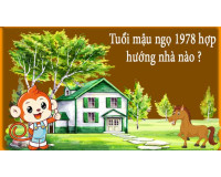 Tuổi năm 1978 hợp hướng nào? (Xem hướng nhà tuổi Mậu Ngọ)