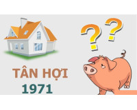 Sinh năm 1971 hợp hướng nào nhất cho gia chủ tuổi Tân Hợi