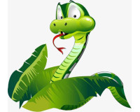 Cung mệnh tuổi Quý Tỵ sinh vào năm 1953 – Xem phong thủy