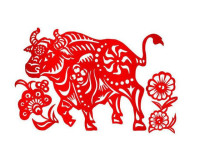 Tìm hiểu về người sinh vào năm 1961 thuộc mệnh gì? cung gì?