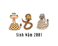 Sinh năm 2001 mệnh gì, cung gì? Tử vi tuổi Tân Tỵ năm 2024
