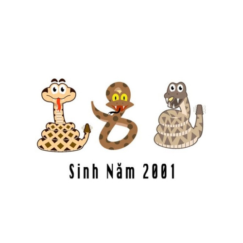 Sinh năm 2001 mệnh gì, cung gì? Tử vi tuổi Tân Tỵ năm 2024