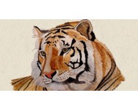 Sinh năm 1950 mệnh gì? Luận giải tử vi–cung mệnh chính xác 