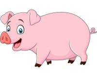 Xem tử vi trọn đời người sinh vào năm 1959–Mệnh gì? cung gì?