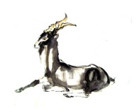 Đinh Mùi sinh năm 2027 mệnh gì, tuổi con gì, hợp màu sắc nào