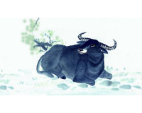 Người sinh vào năm 1949 mệnh gì? hợp với những tuổi nào? 