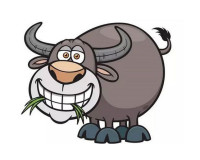 Người sinh vào năm 1973 mệnh gì? Xem tử vi – phong thủy 