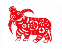 Kỷ Sửu sinh năm 2009 mệnh gì, tuổi con gì, hợp với tuổi nào