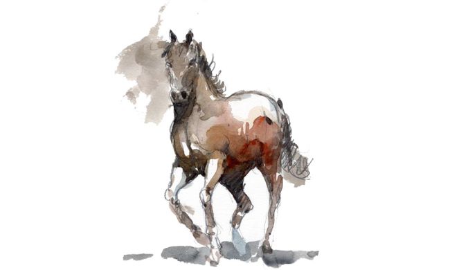 Tuổi hợp, kỵ với người sinh năm 2026