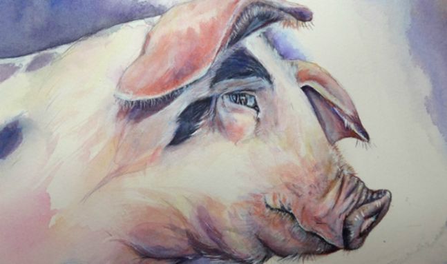 Sinh năm 1971 cầm tinh con gì