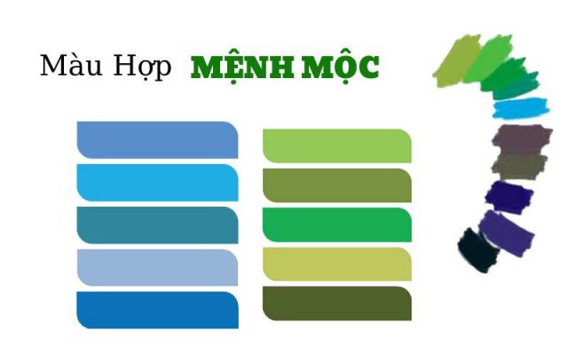 Mệnh Mộc hợp màu gì