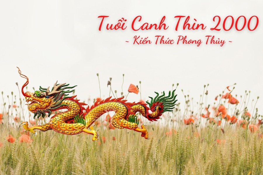 Sinh năm 2000 thuộc cung gì