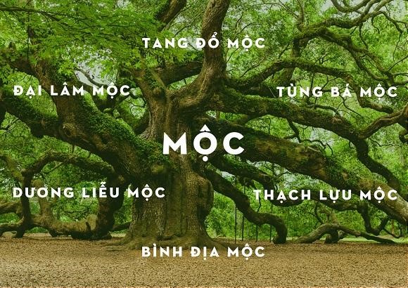 Các nạp âm của người mệnh Mộc