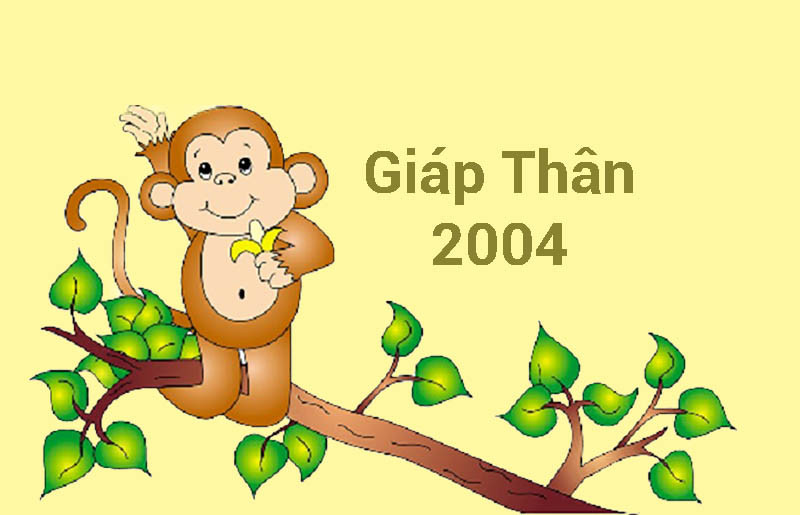 người sinh năm 2004 tuổi gì