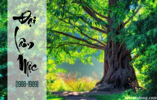 mệnh của những người sinh năm 1988