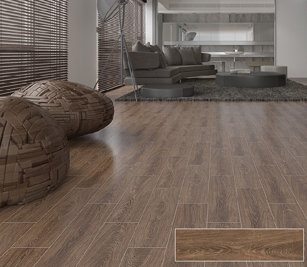 Một số mẫu gạch lát nền giả gỗ  hot hit nhất hiện nay