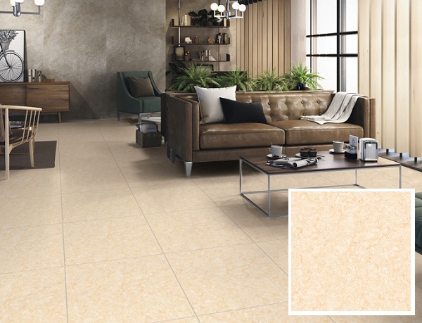 Thông tin về gạch lát nền 50x50