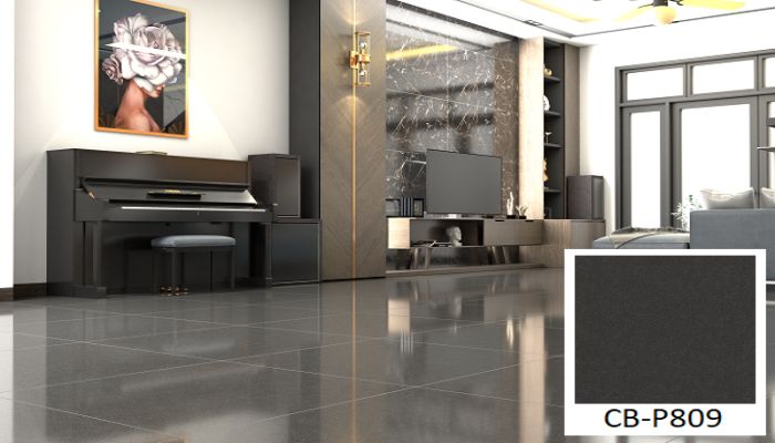 Tham khảo mẫu gạch lát nền phòng khách Tasa