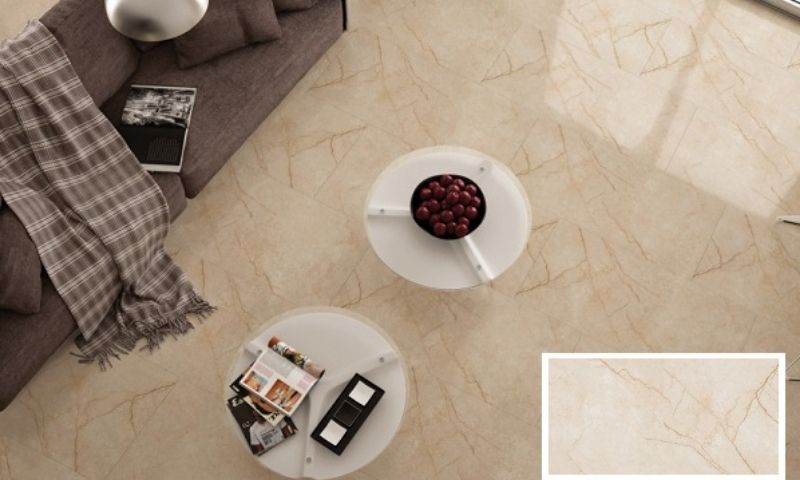 Mẫu gạch lát nền được săn đón nhiều nhất