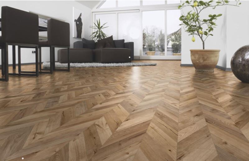 Sàn được tái hiện lại xương của cá 