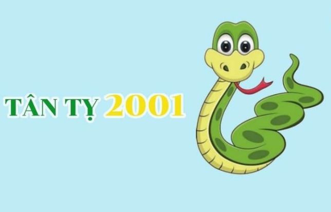 Sinh năm 2001 mệnh gì