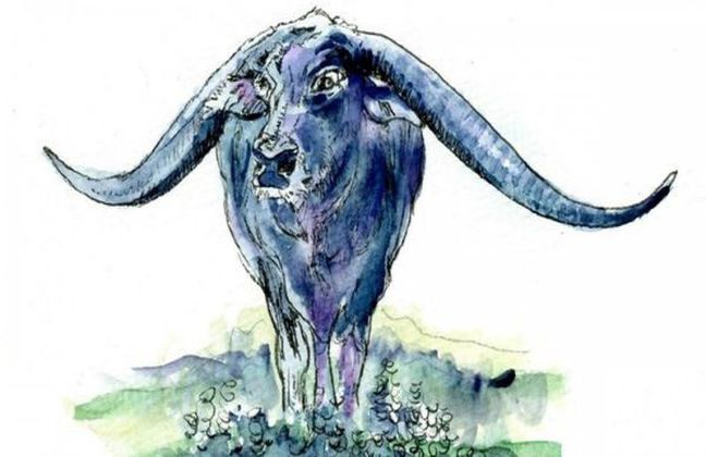 x Tử vi người sinh năm 2009 (Kỷ Sửu) trong năm 2024