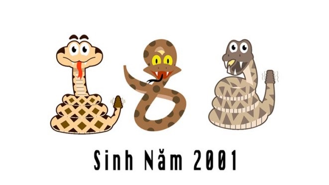 Tư liệu tử vi trọn đời của người sinh năm 2001
