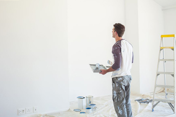 x Các loại sơn tường phổ biến hiện nay